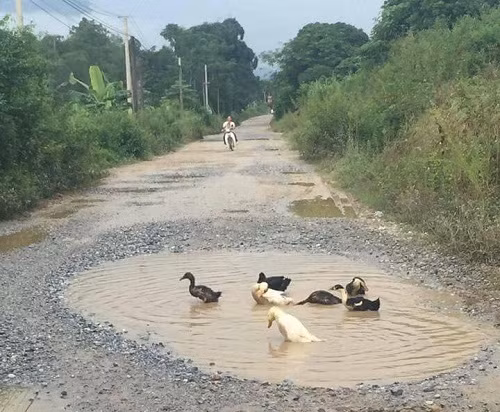 10-anh-hai-hot-nhat-facebook-trong-ngay-7