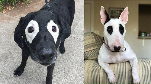 10-anh-hai-hot-nhat-facebook-trong-ngay-8