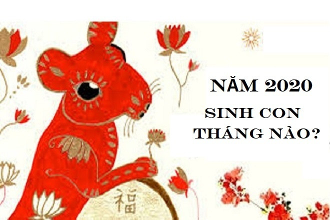 Sinh con năm 2020 tháng nào tốt để gia đình càng thêm gắn kết