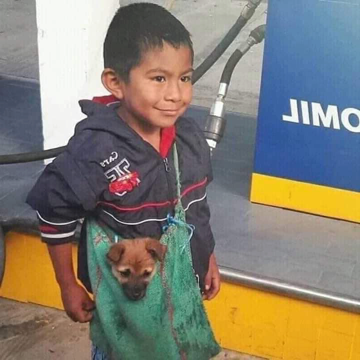 Nghèo mà có cậu vàng thì vẫn vui