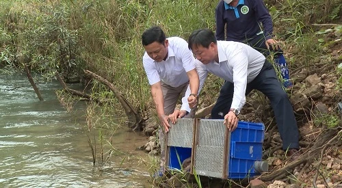 Các cá thả động vật hoang dã được thả về môi trường tự nhiên.