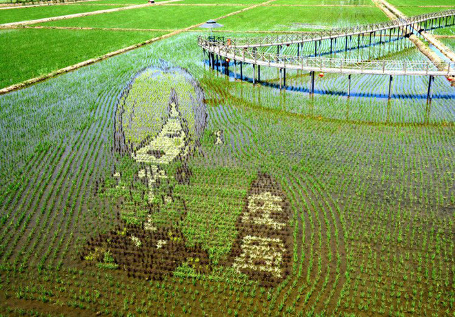 Những bức tranh 3D tuyệt đẹp được vẽ trên đồng lúa của nông dân Trung Quốc - Ảnh 2.