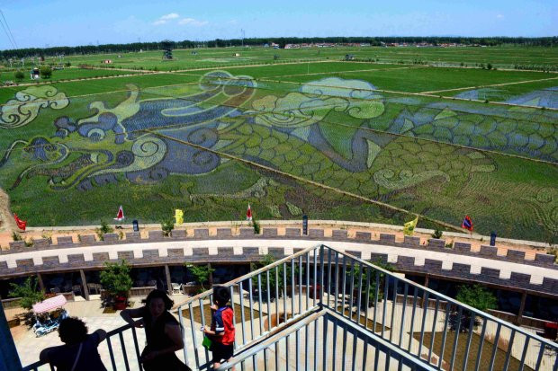 Những bức tranh 3D tuyệt đẹp được vẽ trên đồng lúa của nông dân Trung Quốc - Ảnh 4.