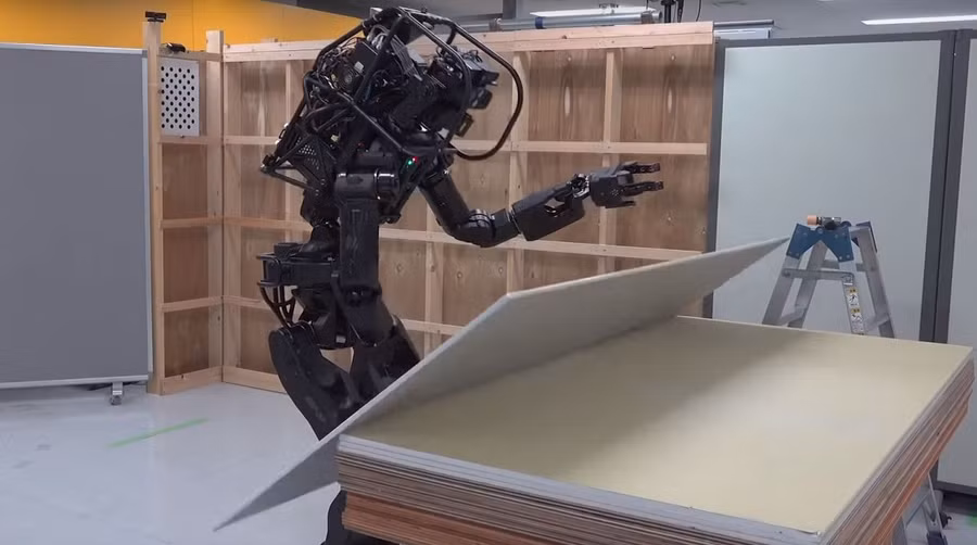 Cuộc sống muôn màu