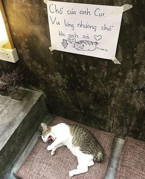 Đánh dấu lãnh thổ.