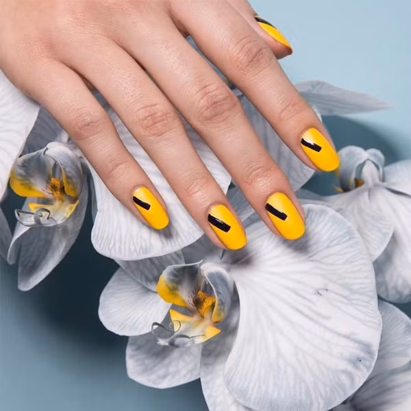 Đường kẻ đen lơ lửng giữa nền móng vàng tươi. Đường kẻ đen lơ lửng giữa nền móng vàng tươi.