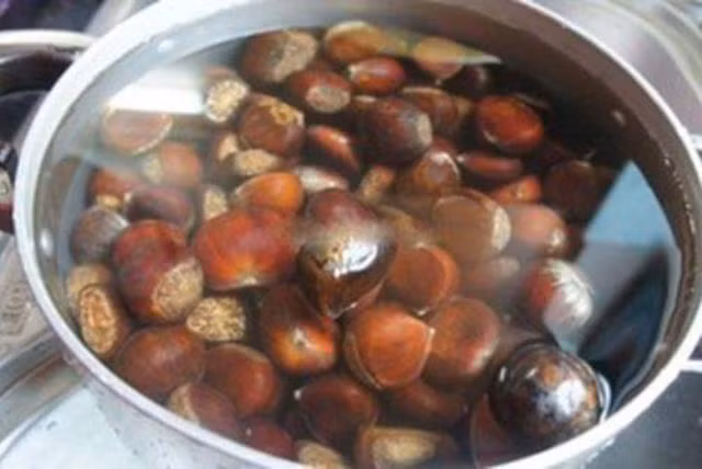 cach-rang-hat-de-thom-bui--giadinhvietnam.com 1