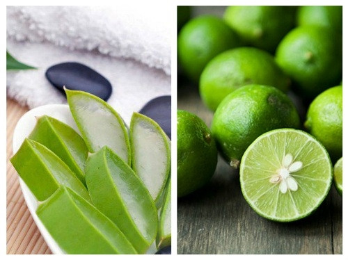 Lấy lại vẻ óng ả suôn mượt cho mái tóc với những cách gội đầu đơn giản Lay lai ve ong a suon muot cho mai toc voi nhung cach goi dau don gian