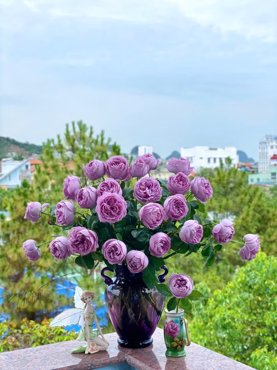 Hồng Thạch Lam cắm tương đối bền vào mùa hè.