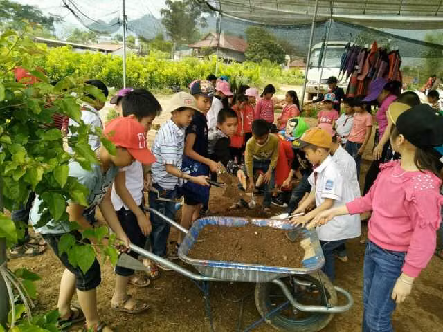 Trải nghiệm thực tế dành cho học sinh khối lớp 3 Trường Tiểu học Tây Tiến (Mộc Châu, Sơn La)