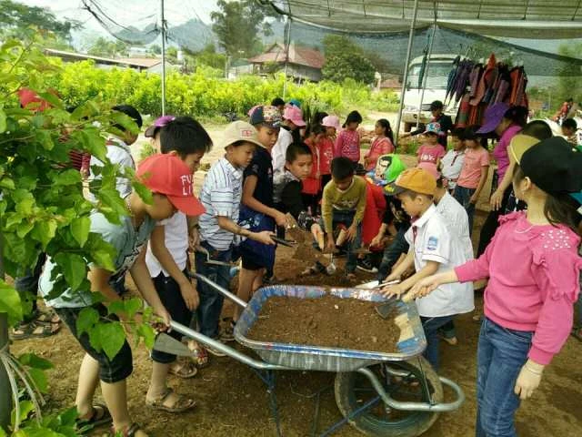 Trải nghiệm thực tế dành cho học sinh khối lớp 3 Trường Tiểu học Tây Tiến (Mộc Châu, Sơn La)