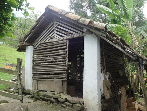 Bi kịch của bé gái lớn lên trong chuồng gà