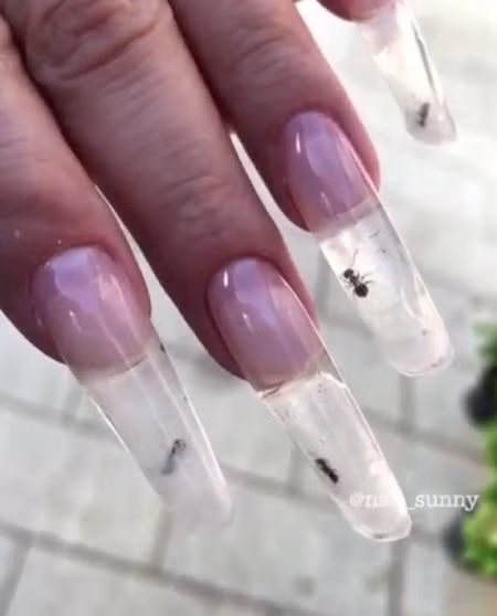 Những con kiến vẫn còn sống và bò trong móng tay