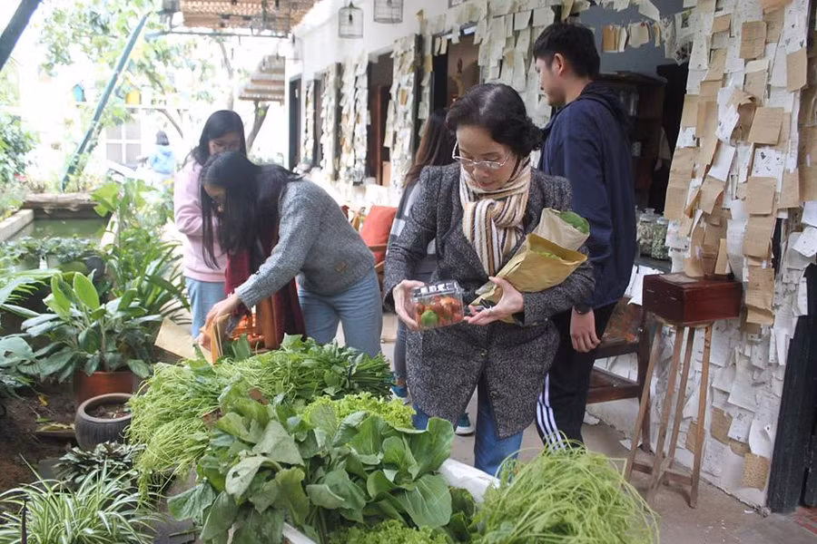 Đà Lạt có ‘quầy rau tử tế’, người mua rau tự bỏ tiền vào thùng 3