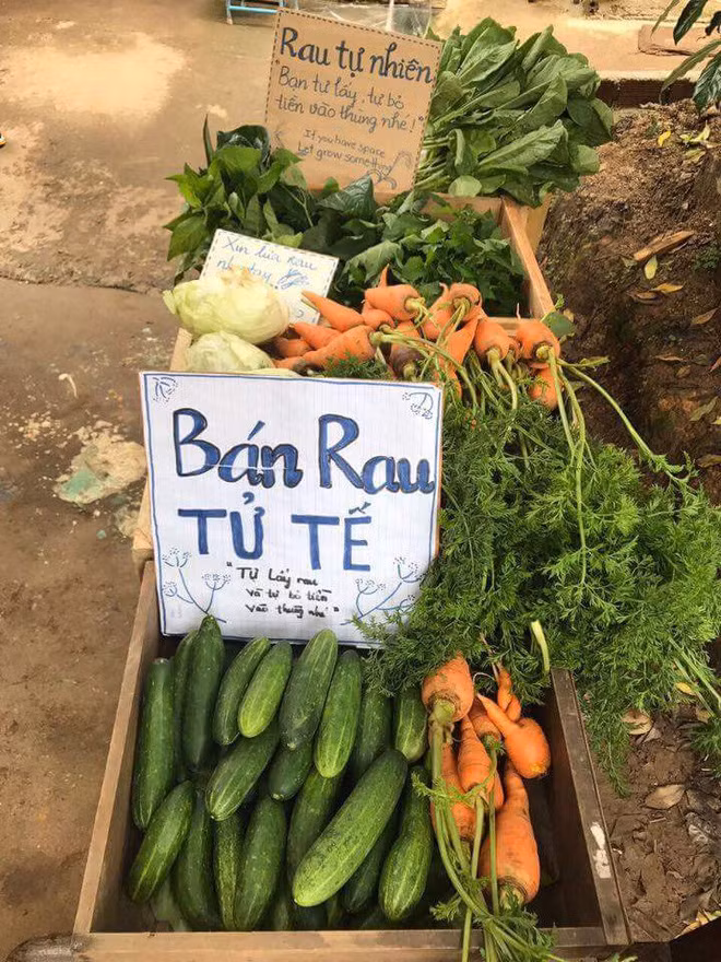 Đà Lạt có ‘quầy rau tử tế’, người mua rau tự bỏ tiền vào thùng 1
