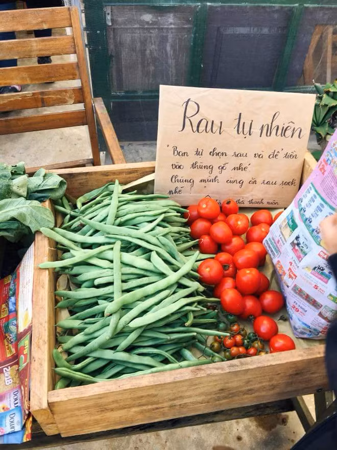Đà Lạt có ‘quầy rau tử tế’, người mua rau tự bỏ tiền vào thùng 0