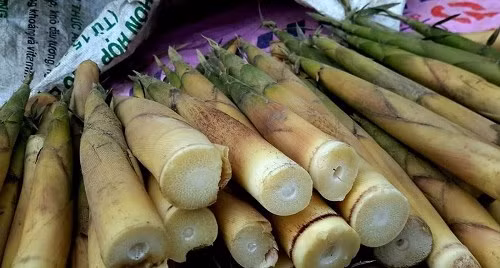 Tại sao ăn măng dễ bị ngộ độc