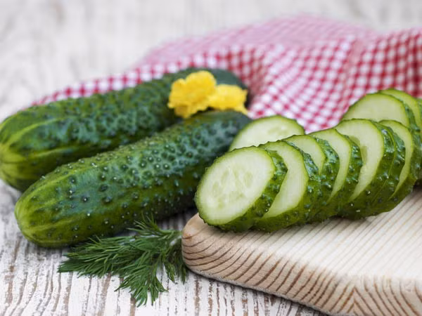 10 cong thuc mat na sua chua giup da ban cang bong hinh 1