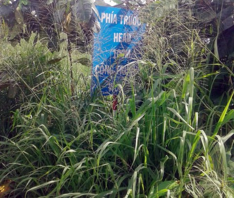 Tấm biển nằm khuất trong bụi cây (ảnh chụp 10/ 9/2018) Tấm biển nằm khuất trong bụi cây (ảnh chụp 10/ 9/2018)