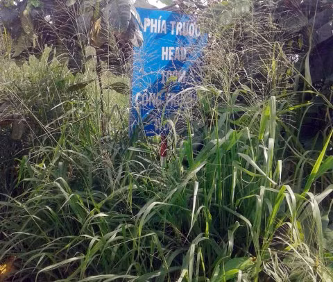 Tấm biển nằm khuất trong bụi cây (ảnh chụp 10/ 9/2018)