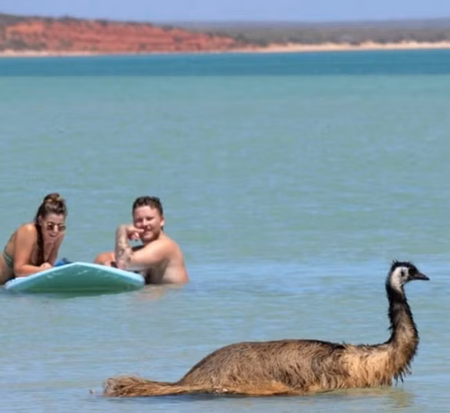 noi dien nhung ke "vo duyen" chuyen pha dam cac buc anh hinh anh 1