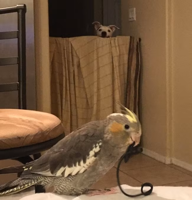 noi dien nhung ke "vo duyen" chuyen pha dam cac buc anh hinh anh 9