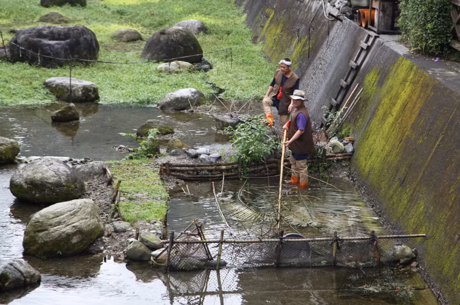 Sự thay đổi về dòng chảy, độ sâu của nước sông cũng tạo nên hệ sinh thái hết sức phong phú cho công viên Mataian với gần 100 loại cây nước. Mức độ đa dạng của các loài chim, ếch, côn trùng và động vật nước cũng rất đáng kể.