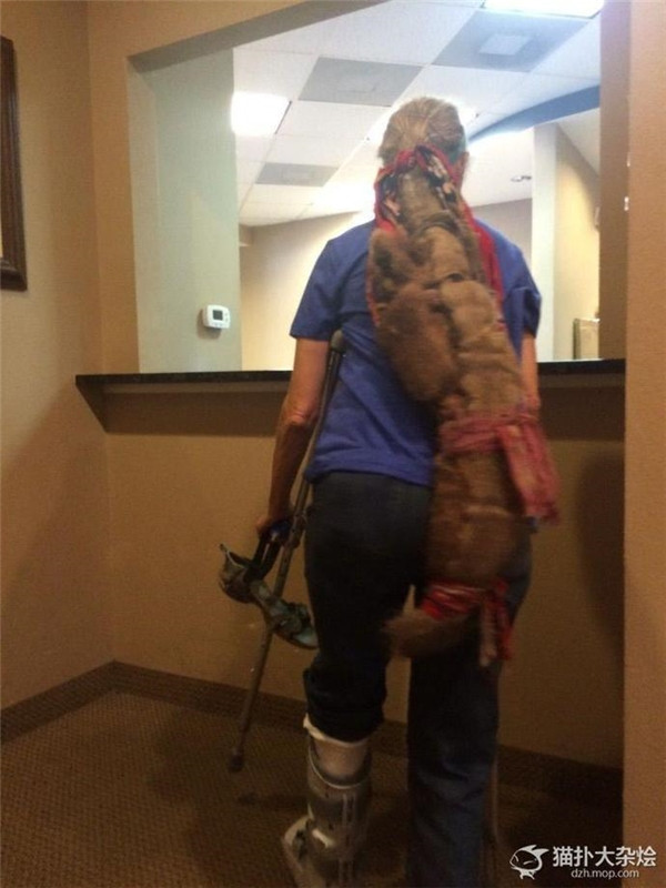 “Hoảng hốt” với những mái tóc 10 năm chưa hề cắt gội ảnh 12 “Hoảng hốt” với những mái tóc 10 năm chưa hề cắt gội ảnh 12