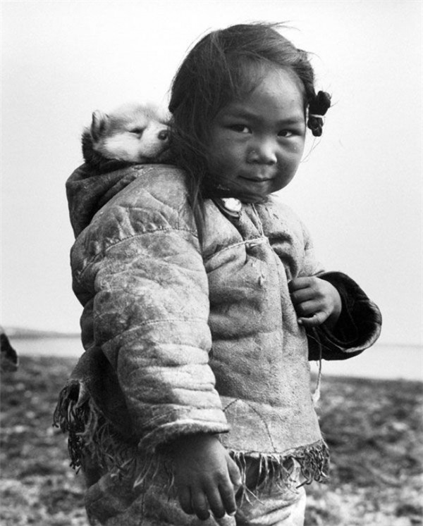 Một bé gái người Eskimo cùng chú chó husky, 1949. Một bé gái người Eskimo cùng chú chó husky, 1949.
