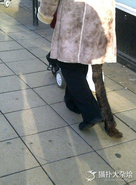 “Hoảng hốt” với những mái tóc 10 năm chưa hề cắt gội ảnh 2 “Hoảng hốt” với những mái tóc 10 năm chưa hề cắt gội ảnh 2