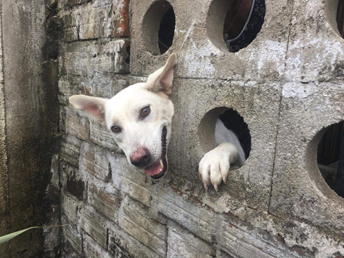 ... xem nhà chủ có trầm trồ. ... xem nhà chủ có trầm trồ.