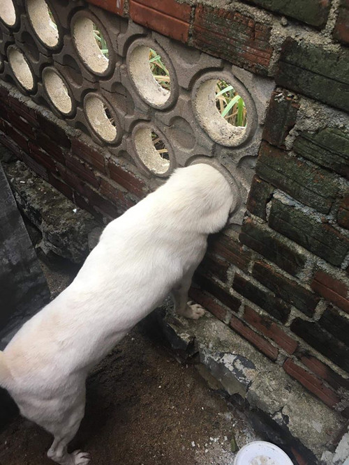 Thử một lần chơi lớn... Thử một lần chơi lớn...