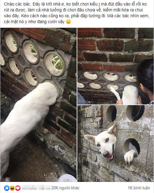 Chia sẻ nhận được hàng chục nghìn lượt thích. Chia sẻ nhận được hàng chục nghìn lượt thích.