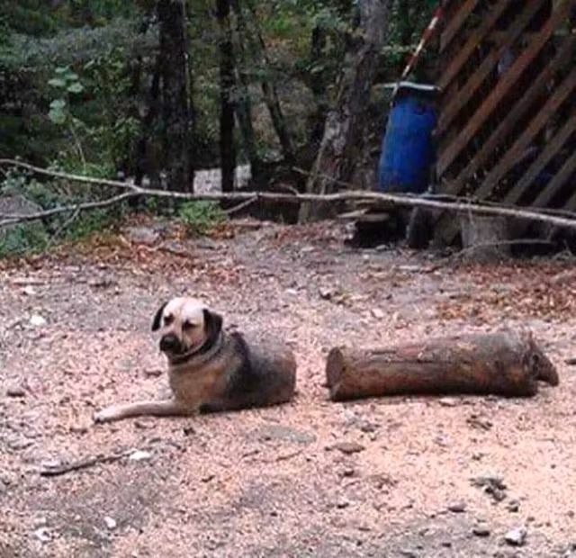 Chùm ảnh đánh lừa thị giác đầy hài hước khiến dân mạng cười nghiêng ngả - 5