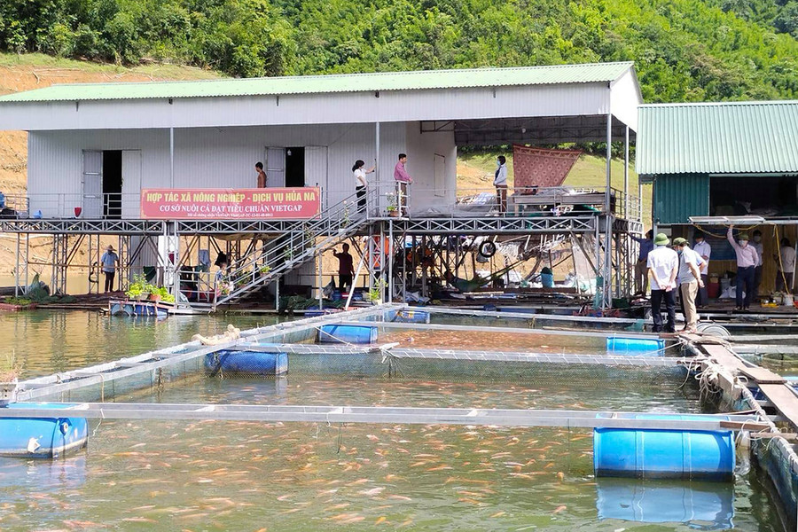 Cơ sở nuôi cá lồng của HTX Nông nghiệp, dịch vụ Hủa Na. Cơ sở nuôi cá lồng của HTX Nông nghiệp, dịch vụ Hủa Na.