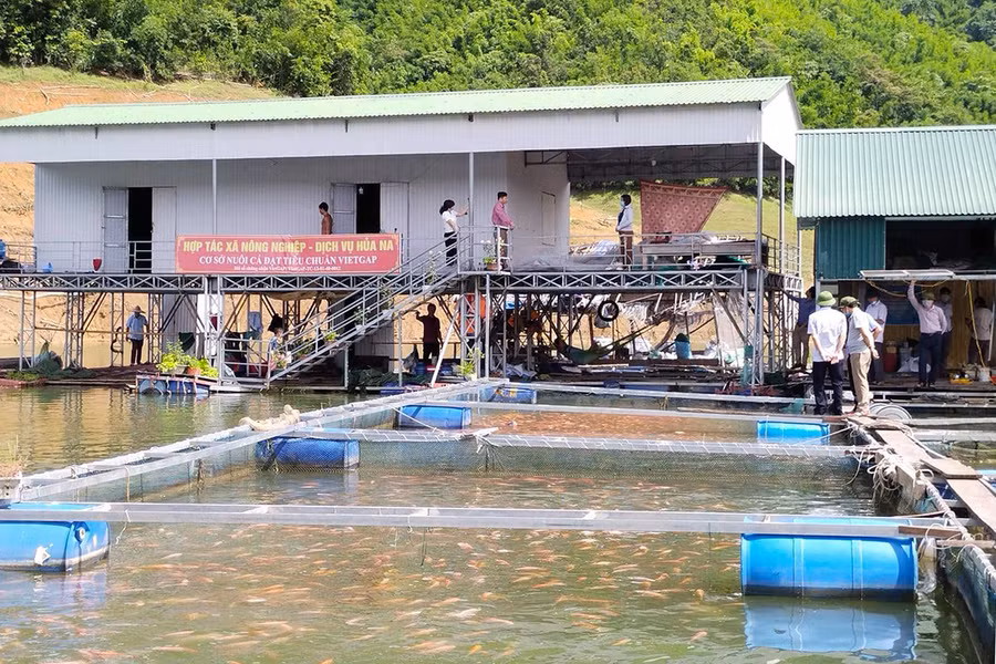 Cơ sở nuôi cá lồng của HTX Nông nghiệp, dịch vụ Hủa Na.