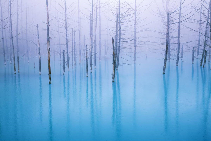 Blue Pond: Hồ nước có màu xanh độc đáo và những thân cây ấn tượng này nằm ở tỉnh Hokkaido. Trên thực tế, đây là hồ nhân tạo thuộc hệ thống kiểm soát xói mòn, được thiết kế để bảo vệ khu vực khỏi dòng bùn quanh núi lửa Tokachi. Màu xanh của nước hồ là do khoáng chất tự nhiên hình thành. Ảnh:Zekkeijapan. 10 diem den tuyet dep it nguoi biet o Nhat Ban hinh anh 7