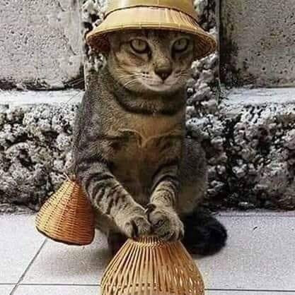 Kiếm ăn thôi mà Kiếm ăn thôi mà