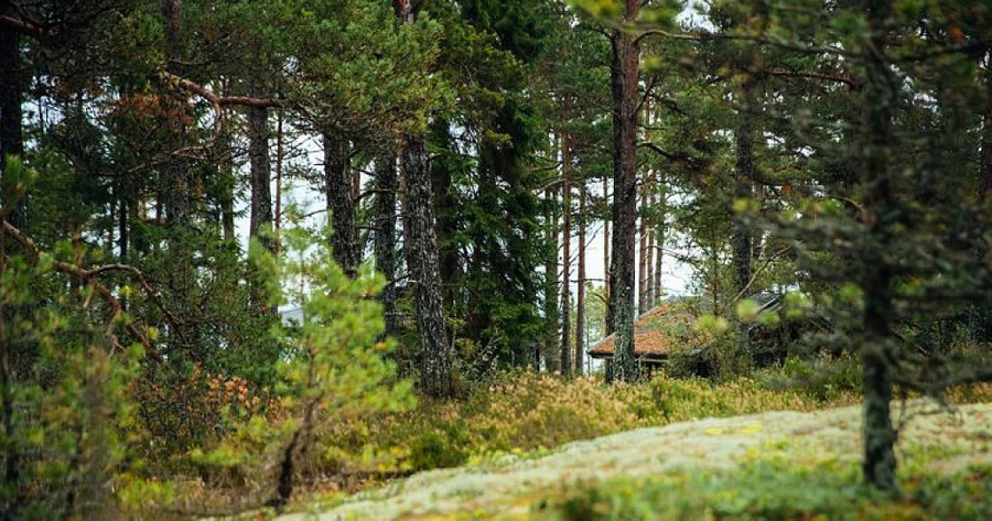 Hòn đảo nơi đàn ông bị cấm cửa - Hình 3