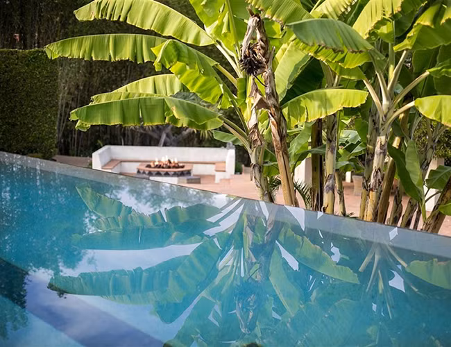 sieu biet thu dep nhu oc dao rong toi 24.000m2 gay choang hinh anh 16