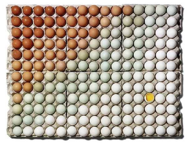 Hoa mắt với những “thánh xếp đồ” có tâm nhất trong siêu thị ảnh 9