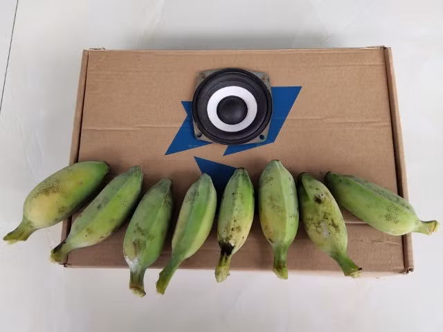 Chiếc đàn trái cây do nhóm học sinh thiết kế.