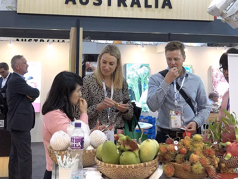 Các doanh nghiệp Việt đã tìm thêm được nhiều thị trường mới cho trái cây, nông sản Việt thay vì tập trung nhiều vào thị trường Trung Quốc như trước đây. Ảnh: QUANG HUY