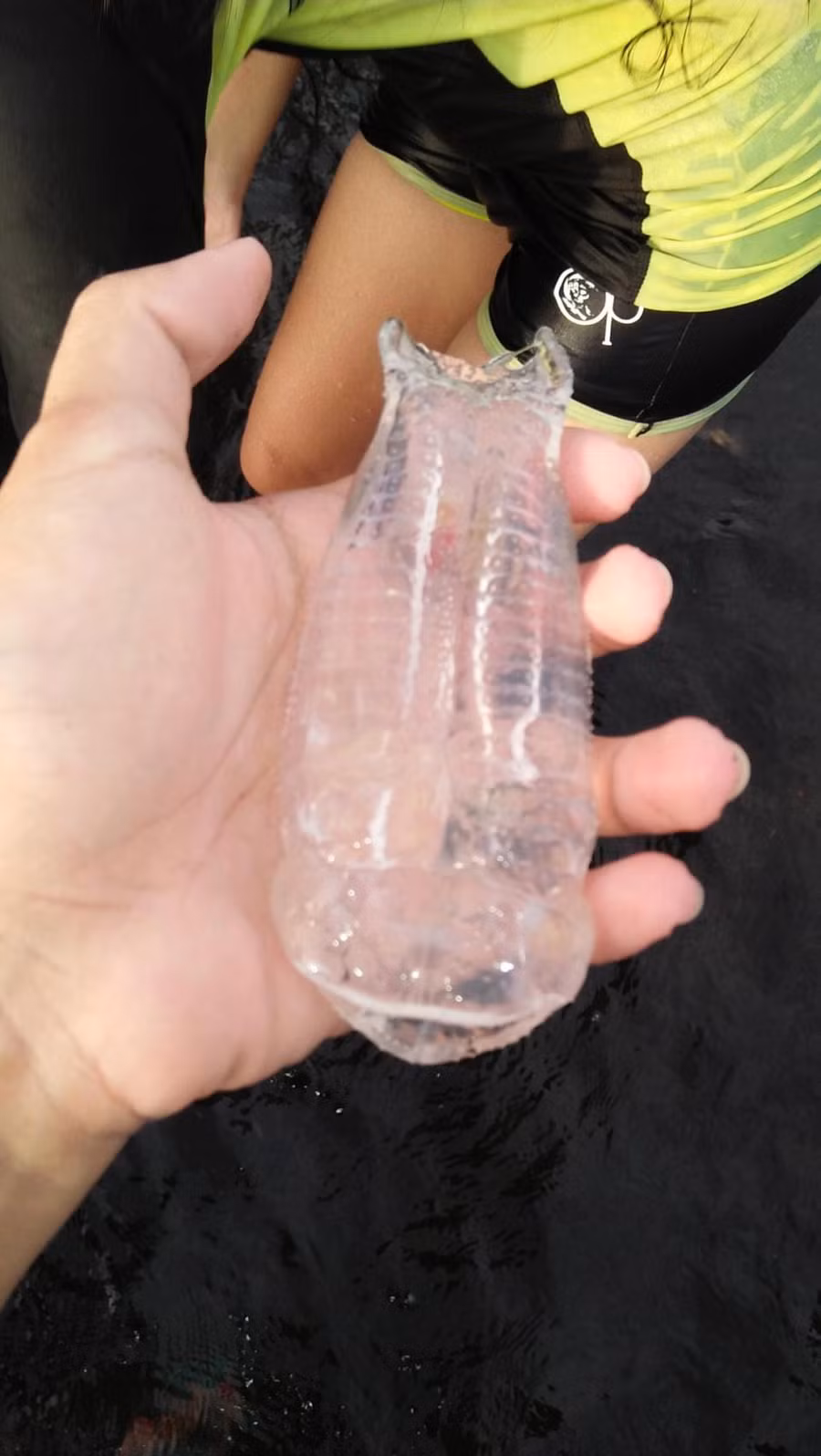 sinh vat trong suot nhu nhua dat vao bo bien khien nguoi dan hoang mang hinh anh 2