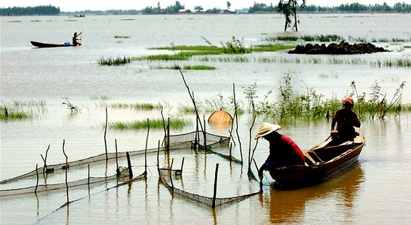 Nhớ mùa nước lên