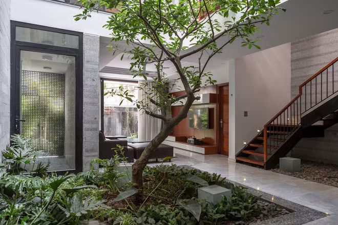 Mùi thuốc lá không còn trong nhà của bạn nhờ vào những phương pháp này