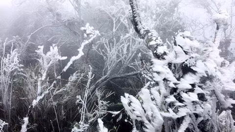 Băng tuyết tuyệt đẹp trên đỉnh Mẫu Sơn - ảnh 1