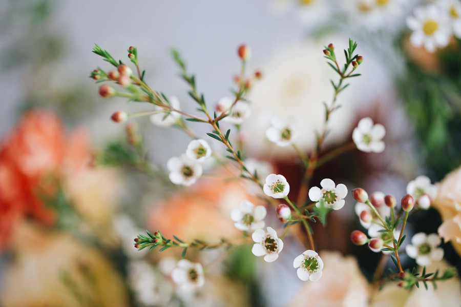 Các loại hoa phụ cũng rất quan trọng. Hoa thanh liễu dễ cắm xen tạo sự duyên dáng mềm mại cho bình hoa. Các loại hoa phụ cũng rất quan trọng. Hoa thanh liễu dễ cắm xen tạo sự duyên dáng mềm mại cho bình hoa.