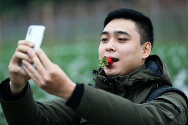 Một bạn trẻ đang check-in với dâu tây.