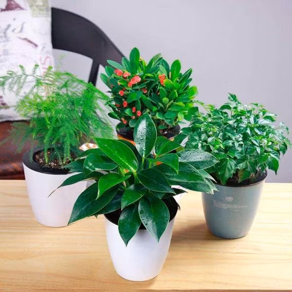 6 thoi xau khien ban ngheo quanh nam, bo ngay di de than tai go cua - 3